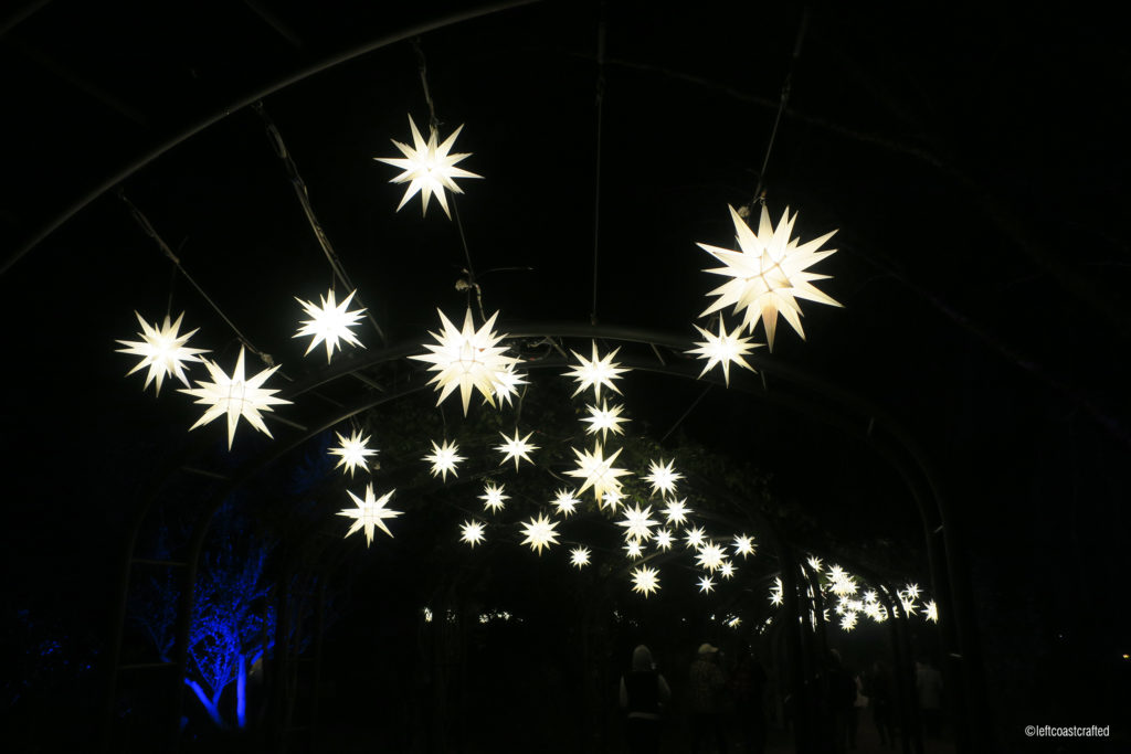 Glowing Stars at Enchanted