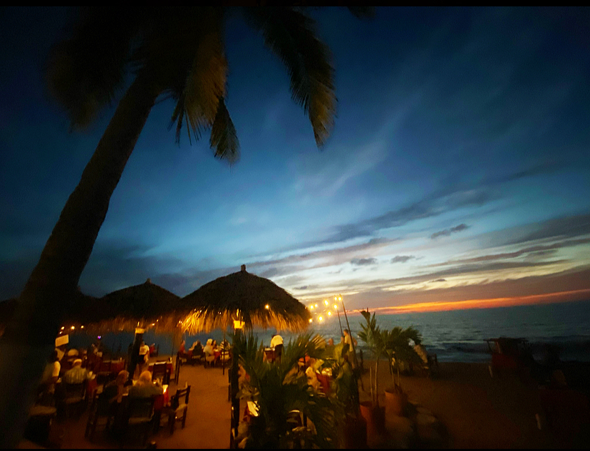 Palm tree and grass covered umbrellas at sunset in Puerto Vallarta